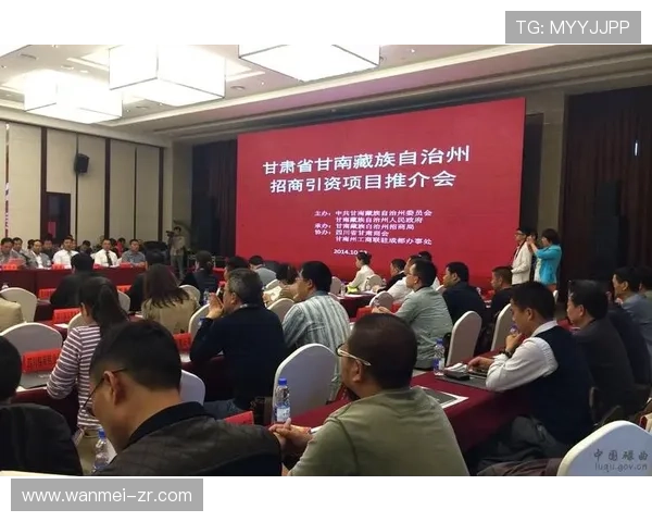 探索众赢国际官网:全面了解其服务与优势 探索众赢国际官网:全面了解其服务与优势